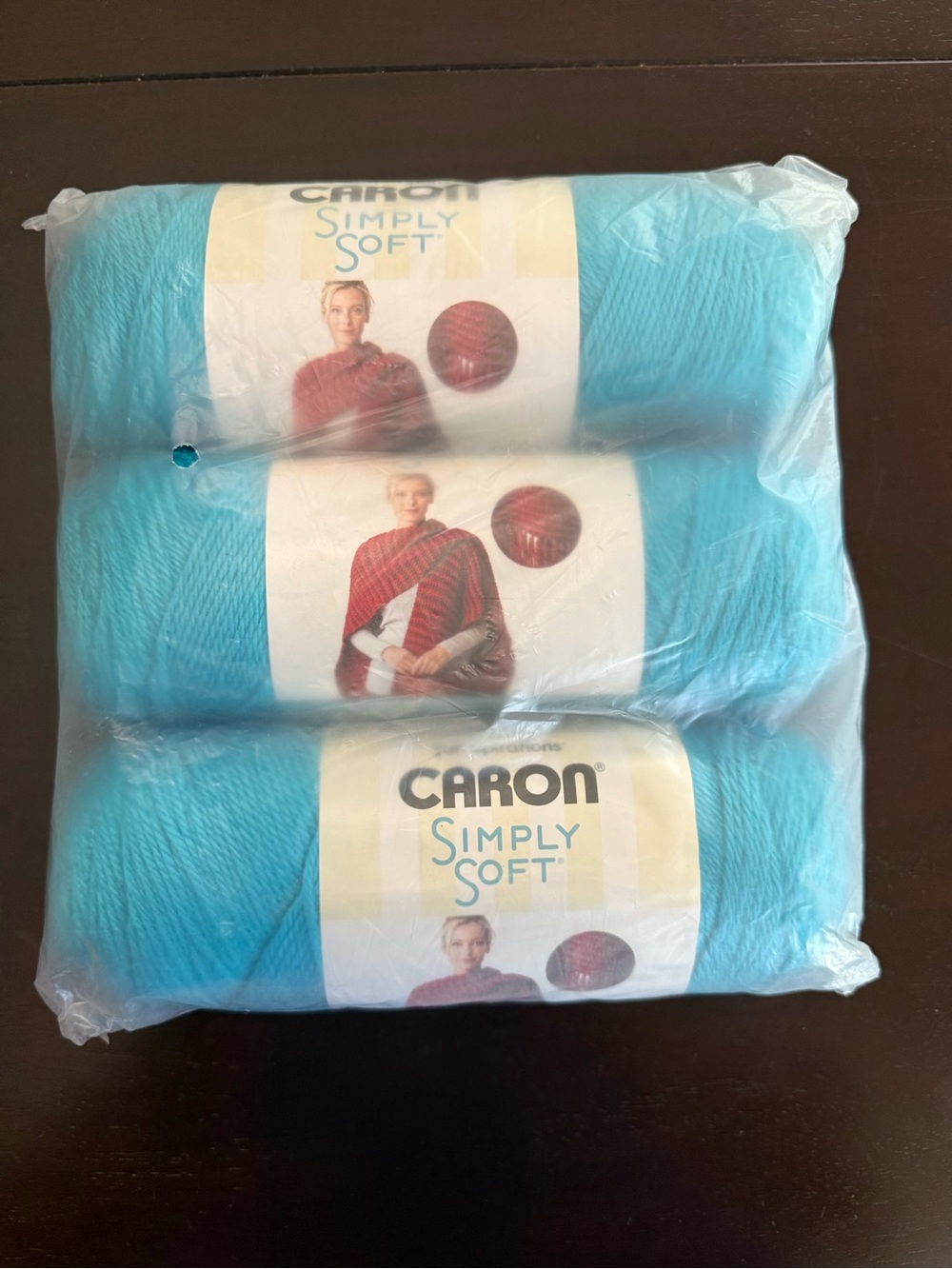 Carbon Simply Soft Yarn Skeins in Blue Mint